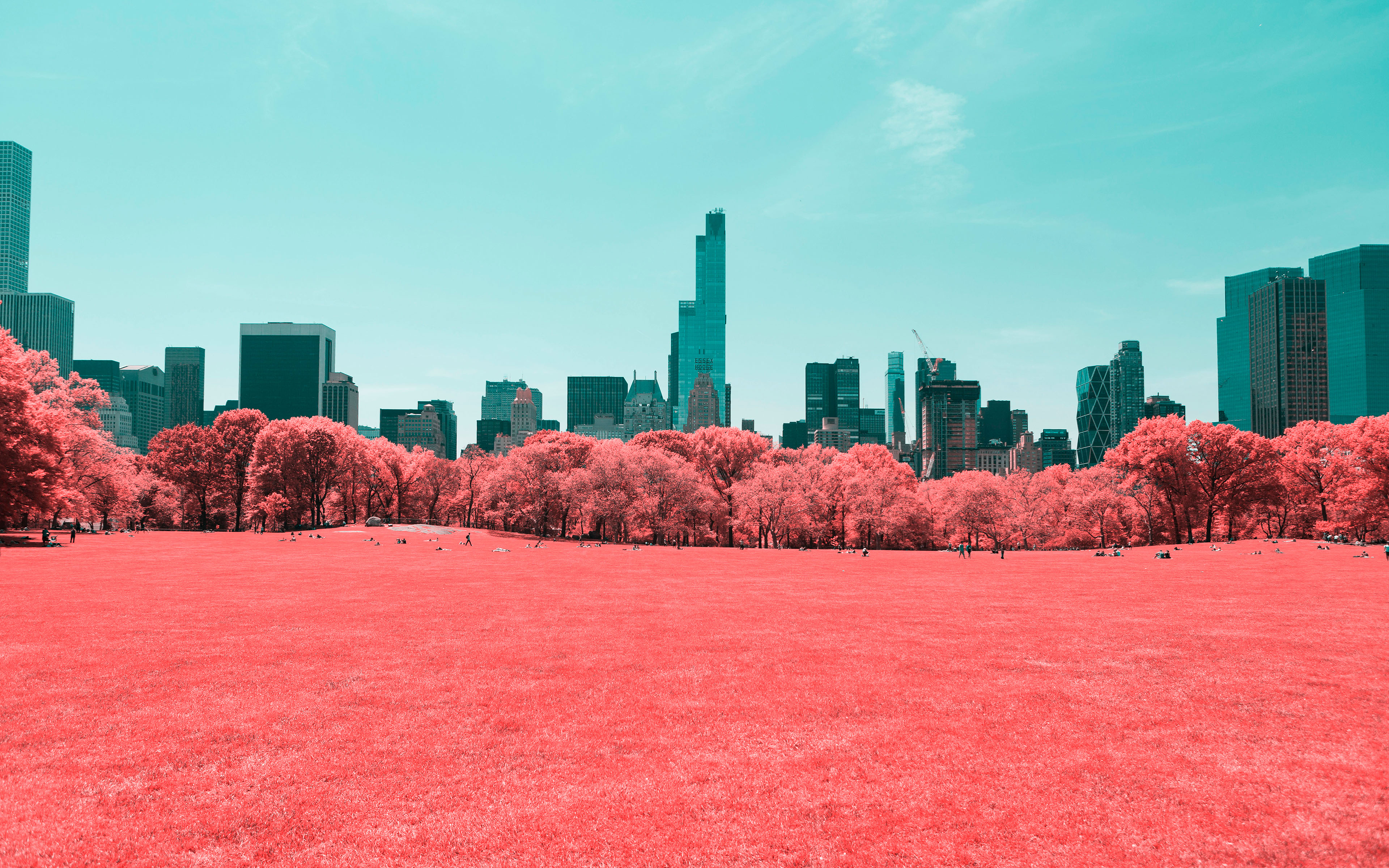 NYC Central Park Infrared 4K332882999